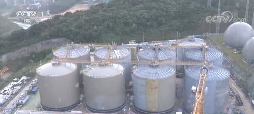 踐行低碳環保發展理念 綠色發展助力中國經濟轉型升級