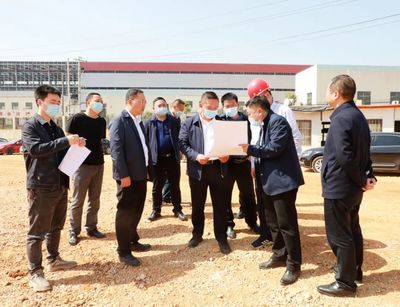 黃進到大龍開發區調研督導項目建設及生態環保、安全生產工作